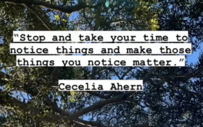 Slowing down in nature