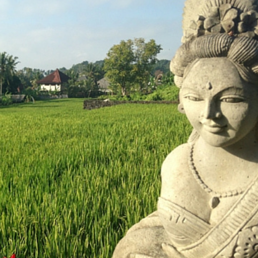 Custom retreats to Bali and beyond